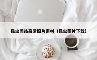 灌南昆虫网站高清照片素材（昆虫图片下载）